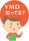 ＶＭＤ知ってる！